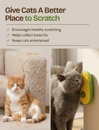 Avocado Cat Grooming & Scratching Toy