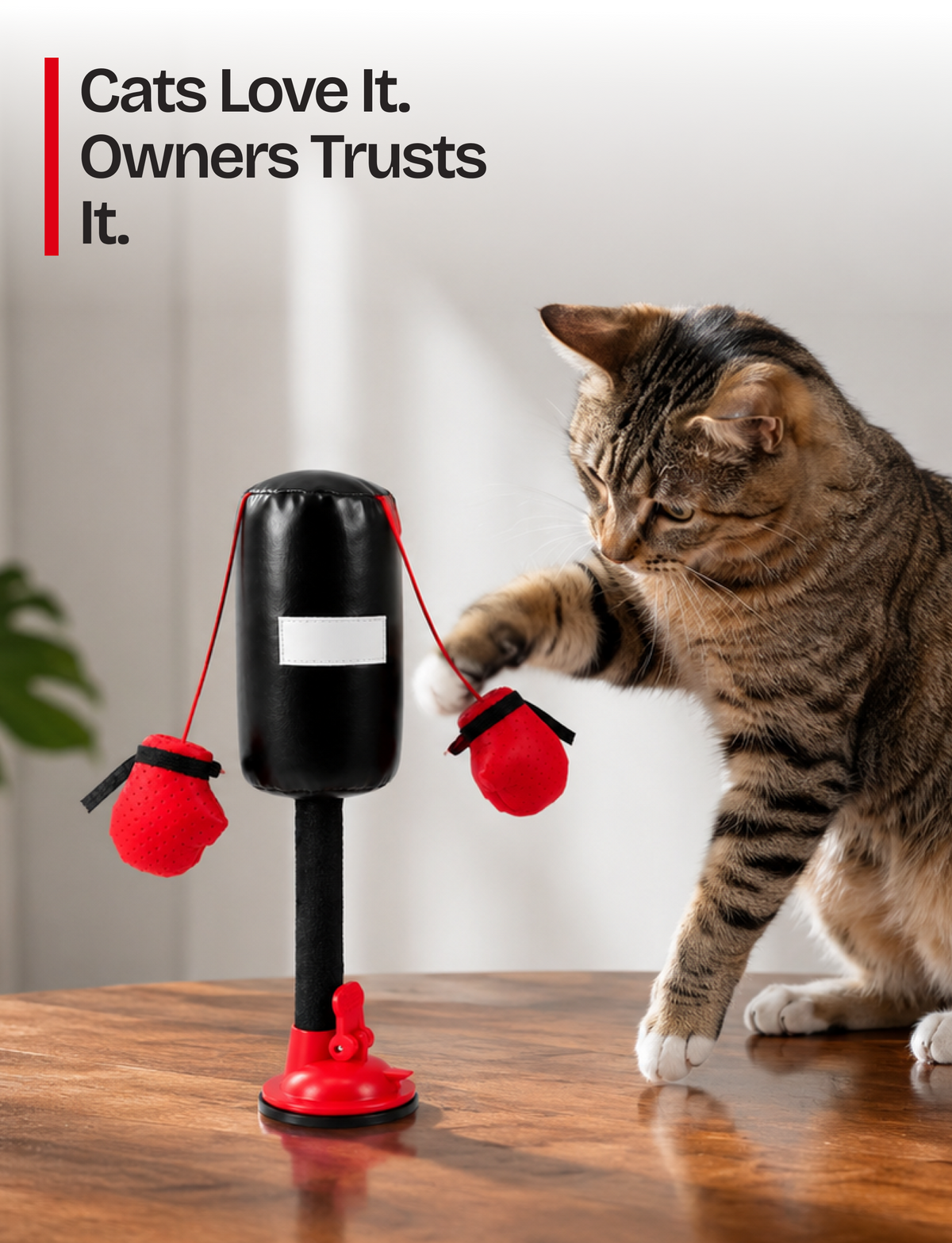 Cat Boxing Punch Ball Toy