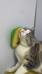 Avocado Cat Grooming & Scratching Toy